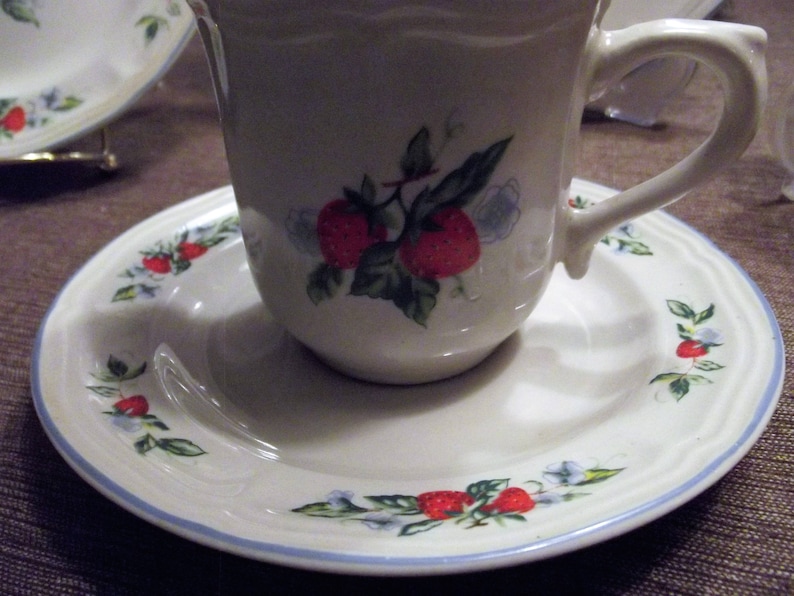 20 Piece Set Tabletops Unlimited *-* SUSANA *-* 4 Place Setting