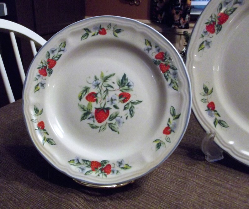 20 Piece Set Tabletops Unlimited *-* SUSANA *-* 4 Place Setting