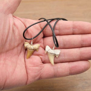 Genuine Otodus Shark Tooth Necklace Prehistoric Fossil Pendant on Black Waxed Cord, Unique Gift for Nature Lovers & Collectors Jewellery x 1 image 12