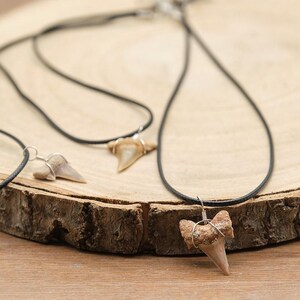 Genuine Otodus Shark Tooth Necklace Prehistoric Fossil Pendant on Black Waxed Cord, Unique Gift for Nature Lovers & Collectors Jewellery x 1 image 11