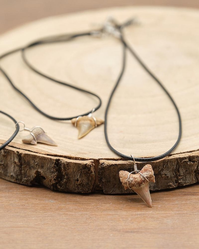 Genuine Otodus Shark Tooth Necklace Prehistoric Fossil Pendant on Black Waxed Cord, Unique Gift for Nature Lovers & Collectors Jewellery x 1 image 11
