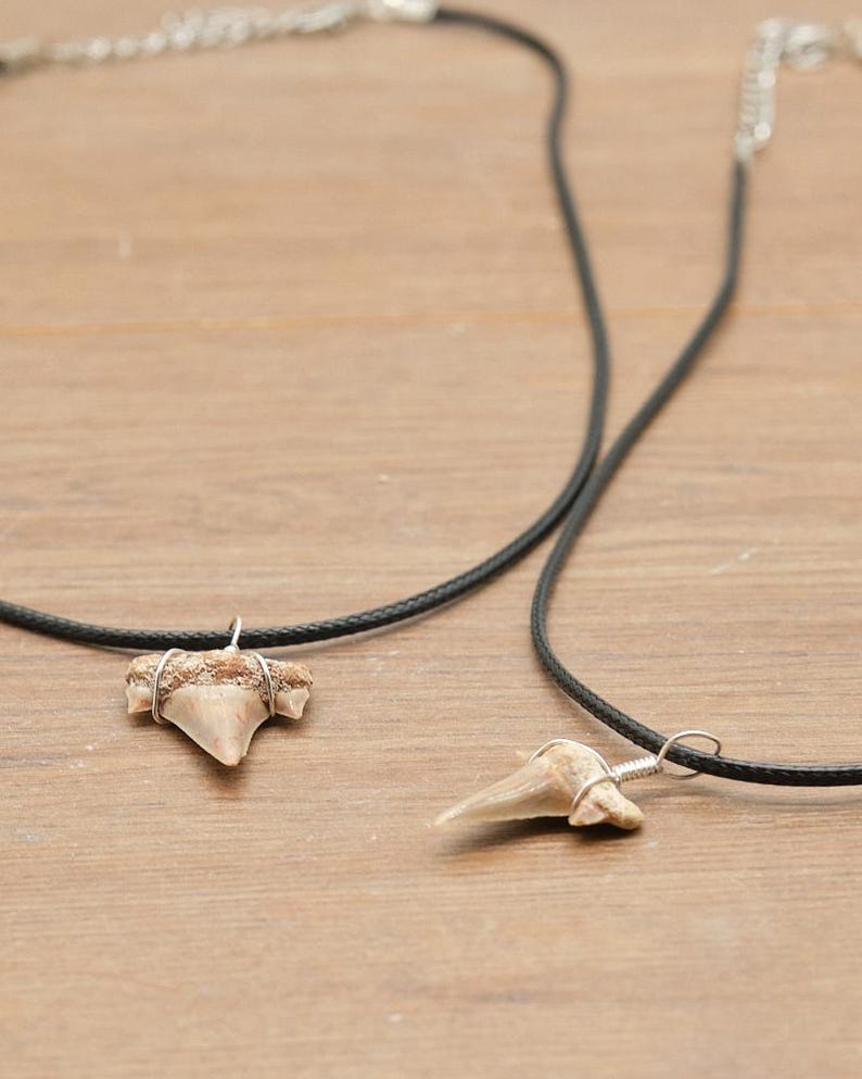 Genuine Otodus Shark Tooth Necklace Prehistoric Fossil Pendant on Black Waxed Cord, Unique Gift for Nature Lovers & Collectors Jewellery x 1 image 9