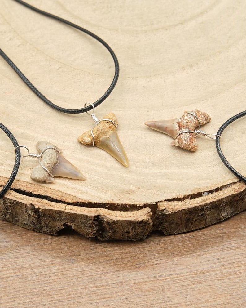 Genuine Otodus Shark Tooth Necklace Prehistoric Fossil Pendant on Black Waxed Cord, Unique Gift for Nature Lovers & Collectors Jewellery x 1 image 5