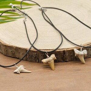Genuine Otodus Shark Tooth Necklace Prehistoric Fossil Pendant on Black Waxed Cord, Unique Gift for Nature Lovers & Collectors Jewellery x 1 image 4