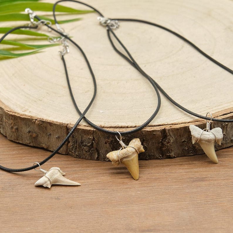 Genuine Otodus Shark Tooth Necklace Prehistoric Fossil Pendant on Black Waxed Cord, Unique Gift for Nature Lovers & Collectors Jewellery x 1 image 4