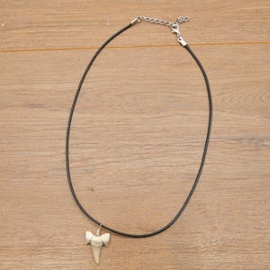 Genuine Otodus Shark Tooth Necklace Prehistoric Fossil Pendant on Black Waxed Cord, Unique Gift for Nature Lovers & Collectors Jewellery x 1 image 8