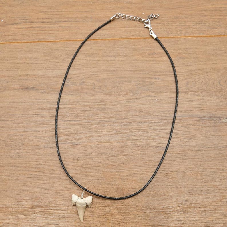 Genuine Otodus Shark Tooth Necklace Prehistoric Fossil Pendant on Black Waxed Cord, Unique Gift for Nature Lovers & Collectors Jewellery x 1 image 8