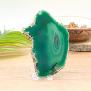 May include: A polished, vertically oriented slice of green agate stone featuring concentric banding patterns and a rough, textured outer edge. The translucent mineral slab is displayed upright on a clear acrylic stand, showcasing deep emerald hues.