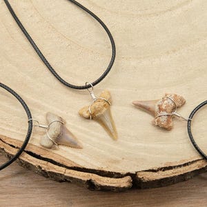 Genuine Otodus Shark Tooth Necklace Prehistoric Fossil Pendant on Black Waxed Cord, Unique Gift for Nature Lovers & Collectors Jewellery x 1 image 10