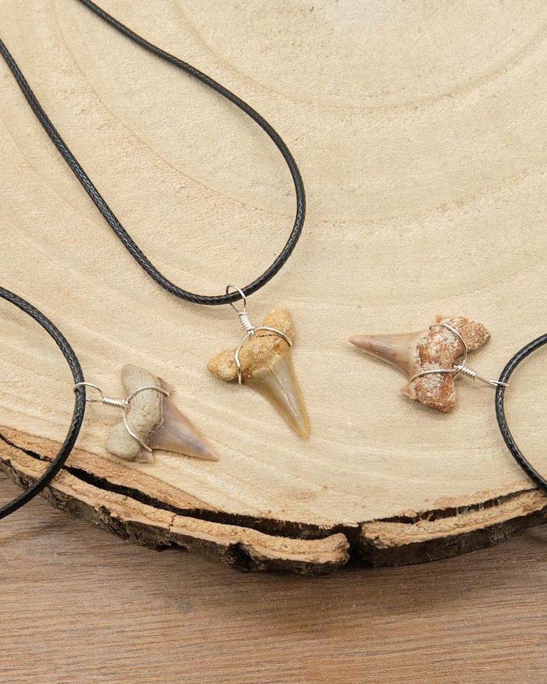 Genuine Otodus Shark Tooth Necklace Prehistoric Fossil Pendant on Black Waxed Cord, Unique Gift for Nature Lovers & Collectors Jewellery x 1 image 10