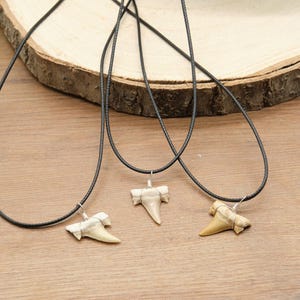 Genuine Otodus Shark Tooth Necklace Prehistoric Fossil Pendant on Black Waxed Cord, Unique Gift for Nature Lovers & Collectors Jewellery x 1 image 1