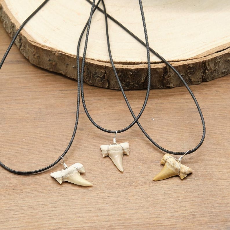 Genuine Otodus Shark Tooth Necklace Prehistoric Fossil Pendant on Black Waxed Cord, Unique Gift for Nature Lovers & Collectors Jewellery x 1 image 1
