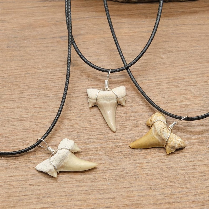 Genuine Otodus Shark Tooth Necklace Prehistoric Fossil Pendant on Black Waxed Cord, Unique Gift for Nature Lovers & Collectors Jewellery x 1 image 3