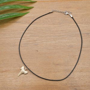 Genuine Otodus Shark Tooth Necklace Prehistoric Fossil Pendant on Black Waxed Cord, Unique Gift for Nature Lovers & Collectors Jewellery x 1 image 6