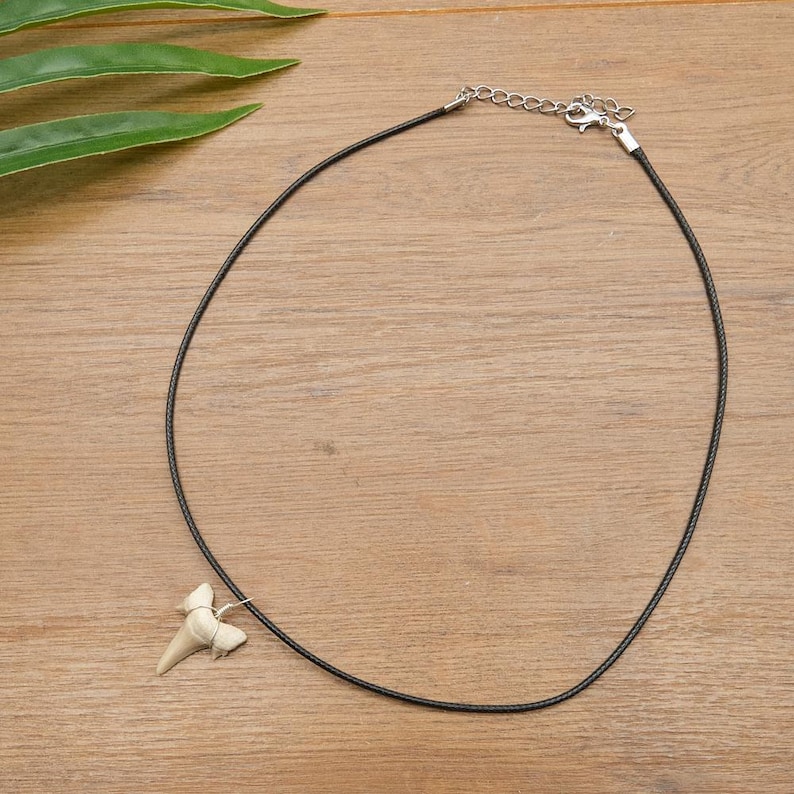 Genuine Otodus Shark Tooth Necklace Prehistoric Fossil Pendant on Black Waxed Cord, Unique Gift for Nature Lovers & Collectors Jewellery x 1 image 6