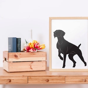 German Shorthaired Pointer : Print • 8 x 10&quot; Illustration