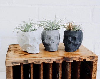 Geometric Concrete Skull Planter | handmade planter | skull air plant holder