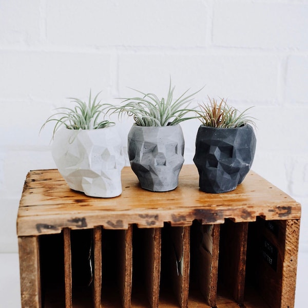 Geometric Concrete Skull Planter | handmade planter | skull air plant holder