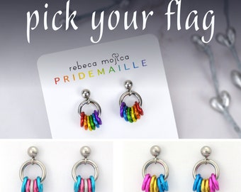Pride Flag Chainmaille Earrings - Choose Your Flag - Ace, Bi, Pan, Poly, Trans, LGBTQ Rainbow & more - Tiny Post Earring
