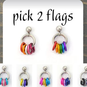 Pendientes de botón personalizables con el orgullo que no coinciden: banderas de arcoíris de Ace, Bi, Pan, Poly, Trans, Demi, LGBTQ y más de 50 microetiquetas: pequeños pendientes de acero