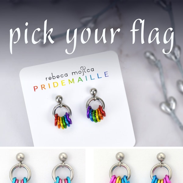 Pride Flag Chainmaille Earrings - Choose Your Flag - Ace, Bi, Pan, Poly, Trans, LGBTQ Rainbow & more - Tiny Post Earring