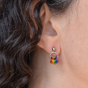 Customizable Mismatch Pride Stud Earrings - Ace, Bi, Pan, Poly, Trans, Demi, LGBTQ Rainbow & 50+ Microlabel Flags - Tiny Steel Post Earrings image 4