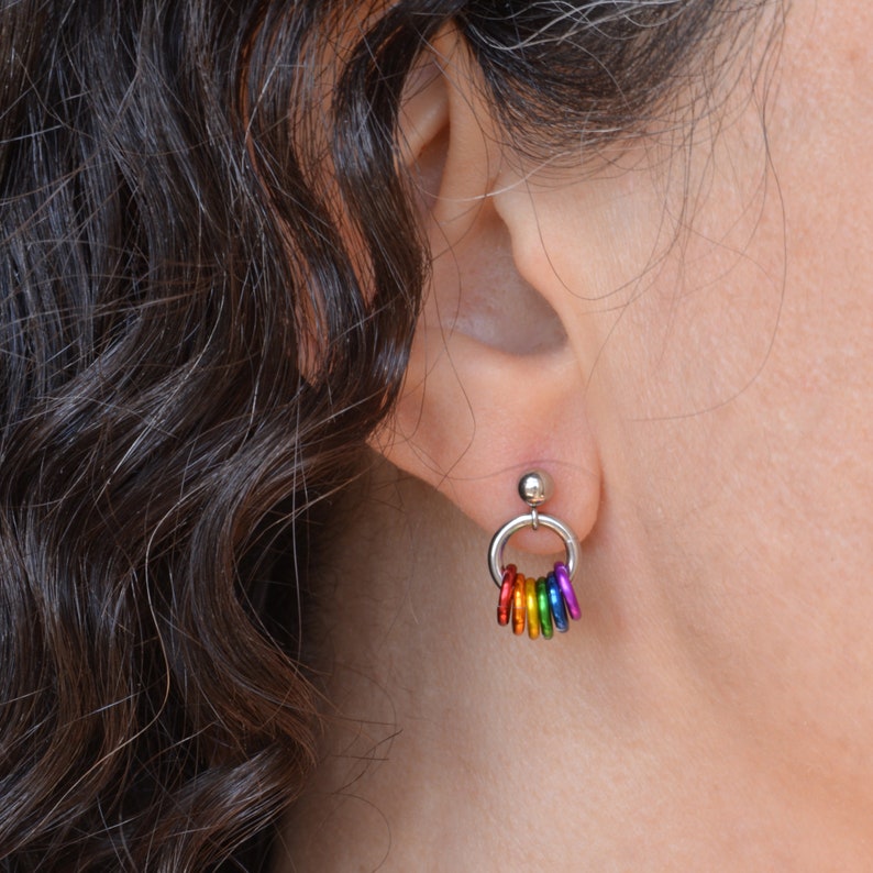 Customizable Mismatch Pride Stud Earrings - Ace, Bi, Pan, Poly, Trans, Demi, LGBTQ Rainbow & 50+ Microlabel Flags - Tiny Steel Post Earrings image 4