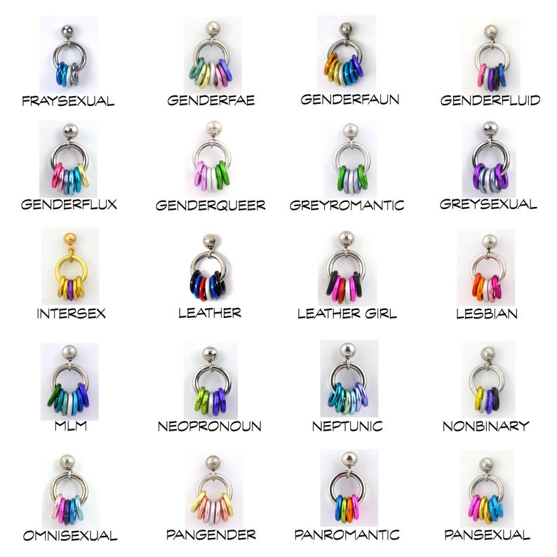 Customizable Mismatch Pride Stud Earrings - Ace, Bi, Pan, Poly, Trans, Demi, LGBTQ Rainbow & 50+ Microlabel Flags - Tiny Steel Post Earrings image 7