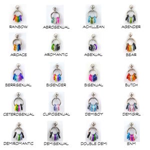 Customizable Mismatch Pride Stud Earrings - Ace, Bi, Pan, Poly, Trans, Demi, LGBTQ Rainbow & 50+ Microlabel Flags - Tiny Steel Post Earrings image 6
