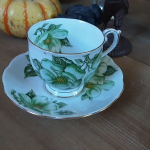 Rainha Ana Magnólia Bone China Inglaterra