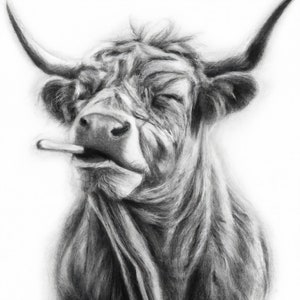 Könnte beinhalten: Schwarz-Weiß-Bleistiftzeichnung einer Highland-Kuh mit Zigarette im Mund und geschlossenen Augen. Die Kuh hat langes, zotteliges Fell und große Hörner. Das Kunstwerk ist vor einem weißen Hintergrund.