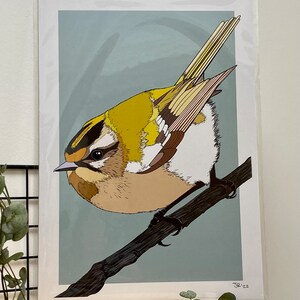 JayRichardsStudio - Etsy