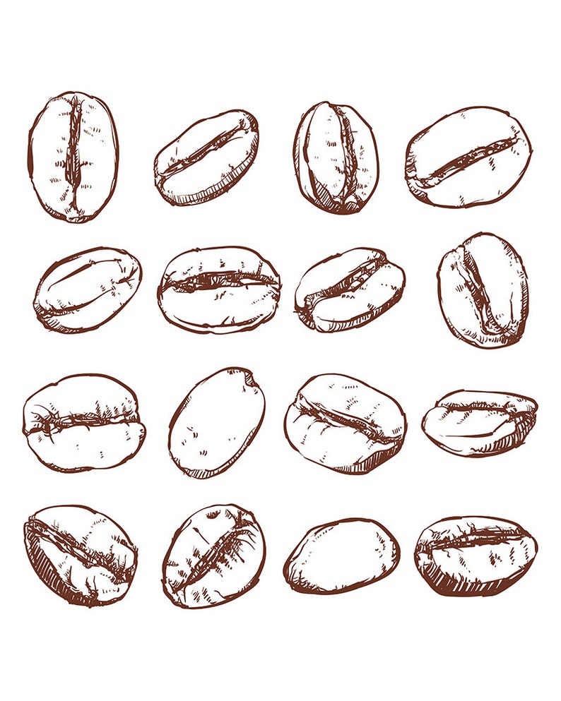80% Off Sale Coffee bean Isolated Hand drawn vector. Hand drawn Coffee vector clipart. EPS, JPG image 1