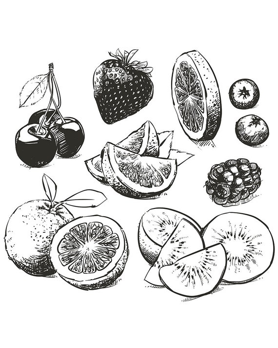 Outline Drawing Of Fruit  ClipArt Best