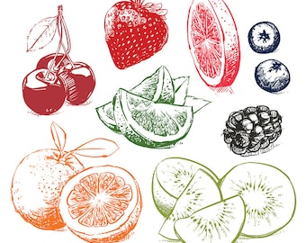 80% Off Sale Hand drawn collection of fruits sketch. Hand drawn fruit vector. Orange, berries, lime with clipping path. (EPS, JPG)