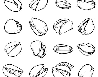 80% Off Sale Set of Pistachios, Hazelnuts, Pistachios. Hand drawn sketch Pistachios vector illustration. (EPS, VECTOR, JPG)