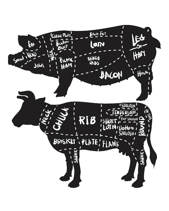 Beef Butcher Chart