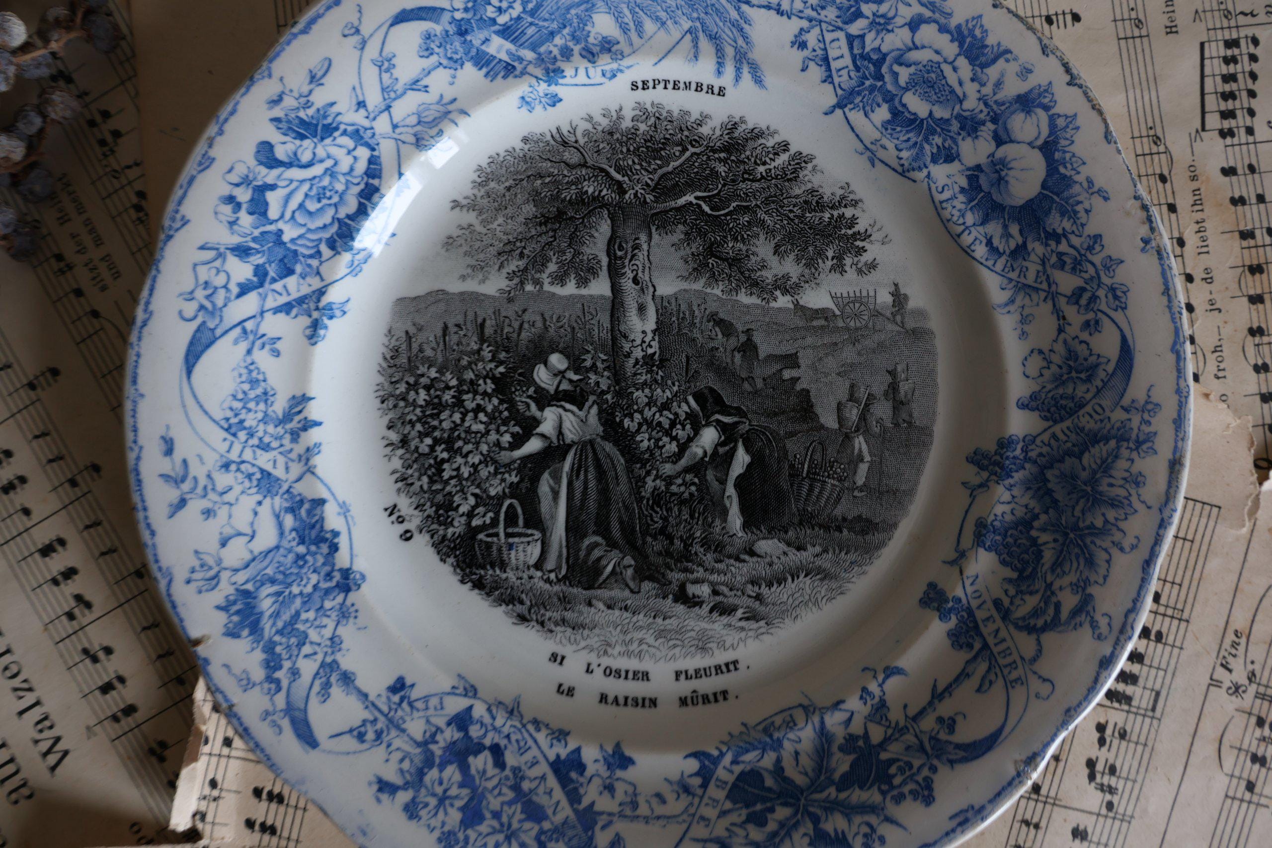 Antique French Plate: Creil Montereau Floral September No 9 - Etsy