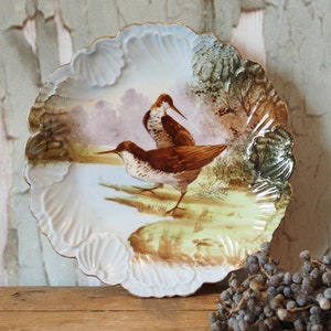 Frans handgeschilderd Porselein Bord Vogel