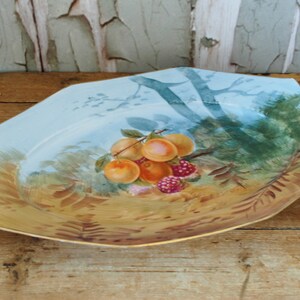 May include: A vintage porcelain serving platter with a blue and white painted landscape scene. The center of the platter features a cluster of peaches and raspberries.