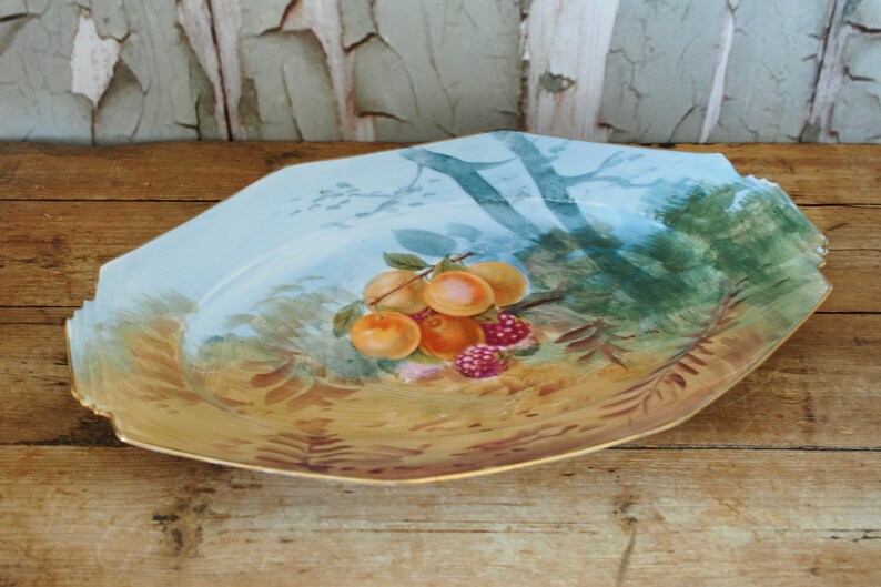 May include: A vintage porcelain serving platter with a blue and white painted landscape scene. The center of the platter features a cluster of peaches and raspberries.