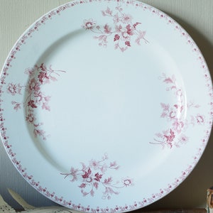 May include: A white ceramic dinner plate with a pink floral pattern around the rim. The plate has a raised edge and a smooth surface.