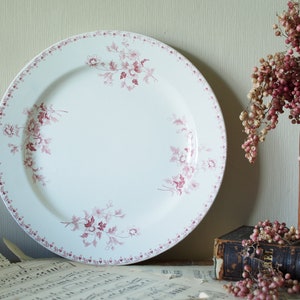 May include: A white ceramic dinner plate with a pink floral pattern around the rim. The plate is sitting on a piece of sheet music.