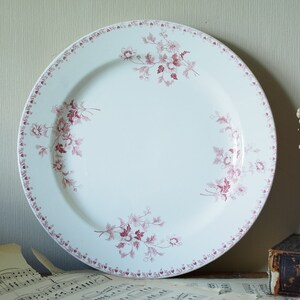 May include: A white ceramic dinner plate with a pink floral pattern around the rim and in the centre. The plate is on a table with sheet music.
