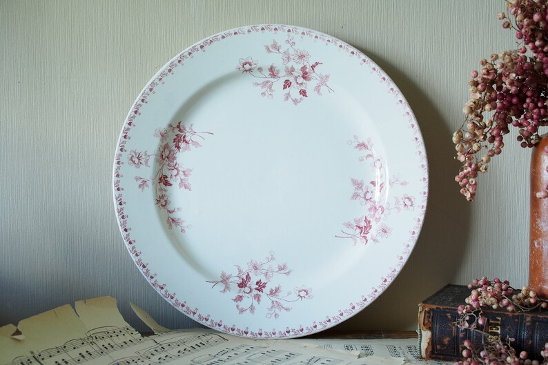 May include: A white ceramic dinner plate with a pink floral pattern around the rim and in the centre. The plate is on a table with sheet music.