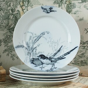 Antique Dinner Plates Etsy Canada