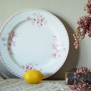 May include: A white ceramic plate with a pink floral pattern around the edge. The plate is sitting on a piece of sheet music with a yellow lemon in front of it.