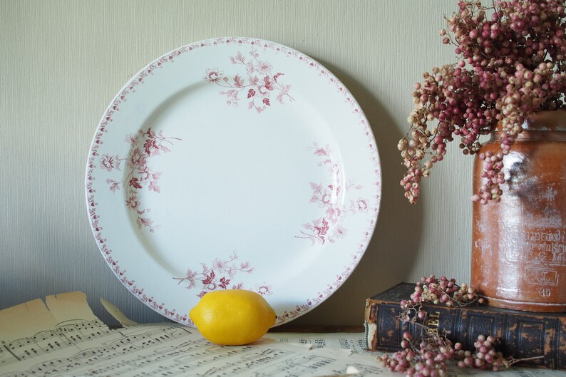 May include: A white ceramic plate with a pink floral pattern around the edge. The plate is sitting on a piece of sheet music with a yellow lemon in front of it.