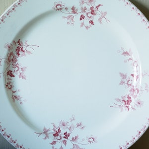 May include: A large white ceramic plate with a pink floral design around the rim. The plate has a scalloped edge and a raised centre.