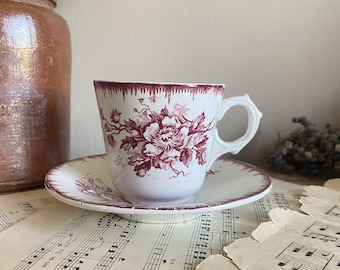 Antique Cup and Saucer - Societe Ceramique - Olga, 1900 - 1910